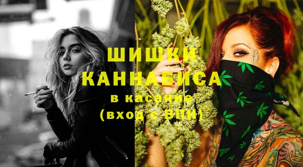 винт Балахна
