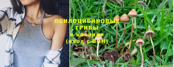 гидропоника Баксан